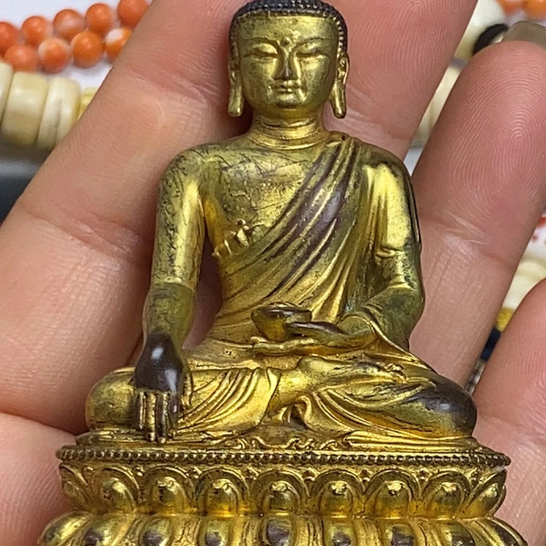 …………………………………………………………