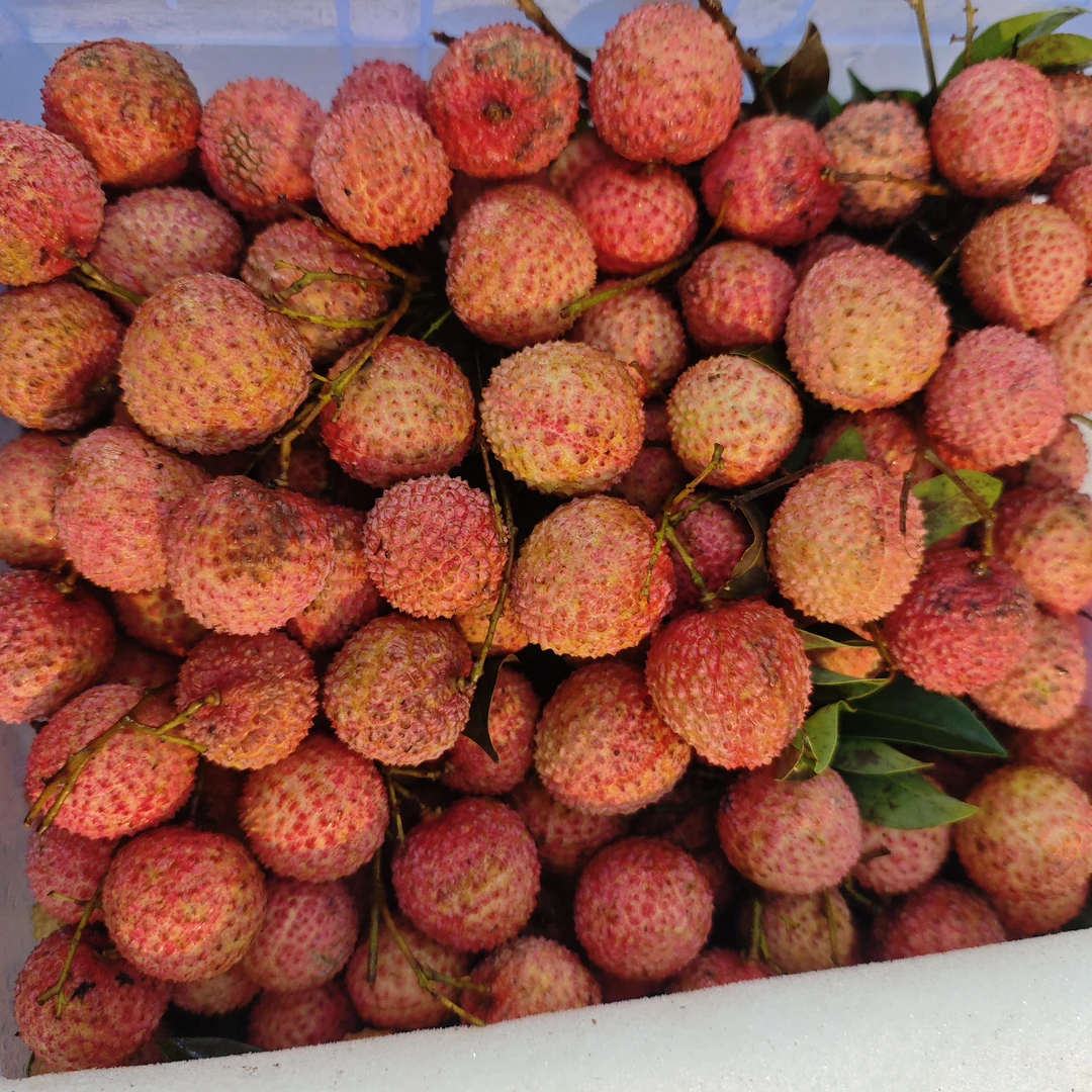 蜂蜜荔枝一斤装广东省