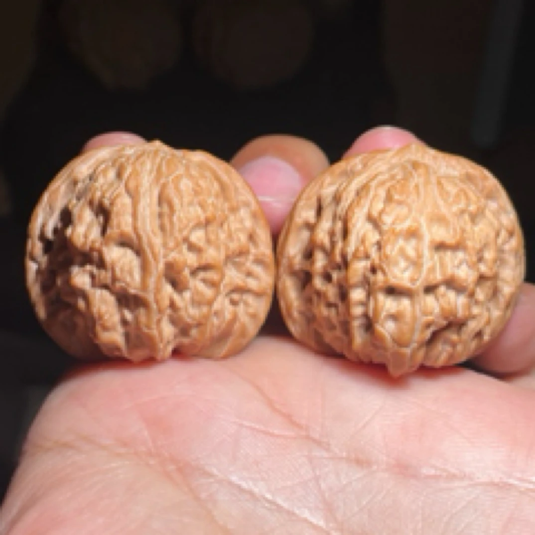 正杨系列 正杨磨盘 随机发货