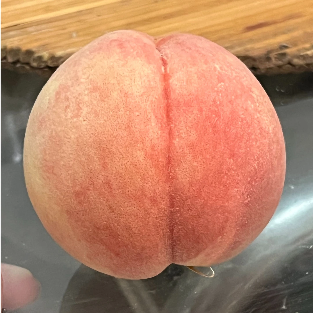 {布朗尼推荐}中国驰名龙泉驿水蜜桃巨香甜非普通水蜜桃产地发