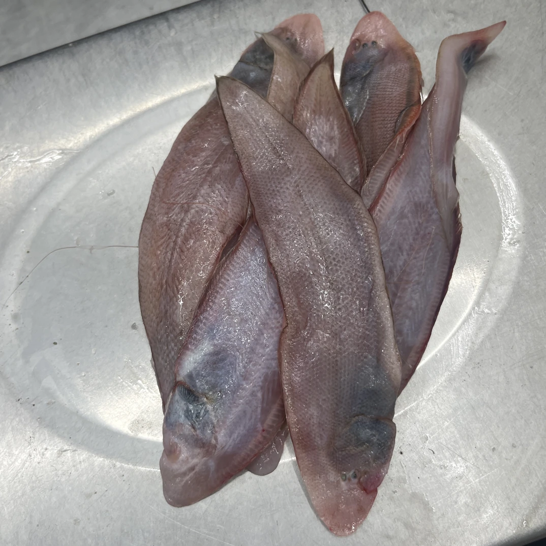 连云港海鲜  海捕小龙利鱼/踏（嫌小不要拍）