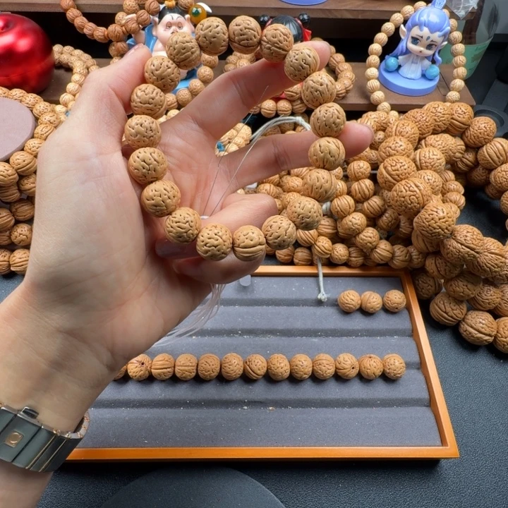 北***吁菩提籽类111111111111111111