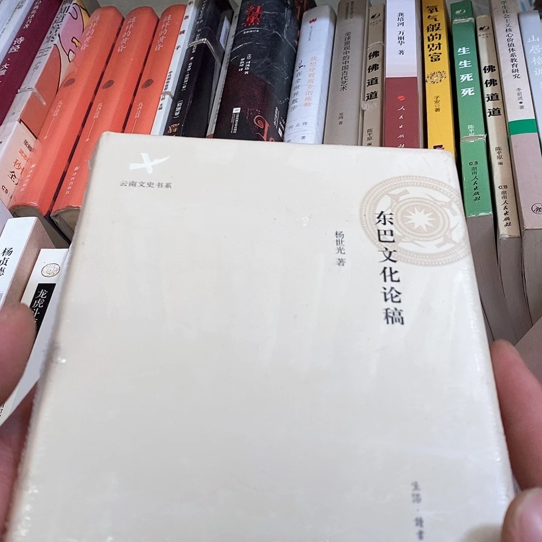 东巴文化论稿…………………………