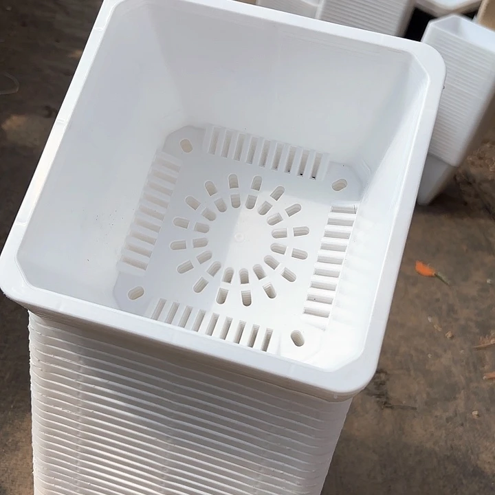 180白方盆17公分高12公分30个花店养花