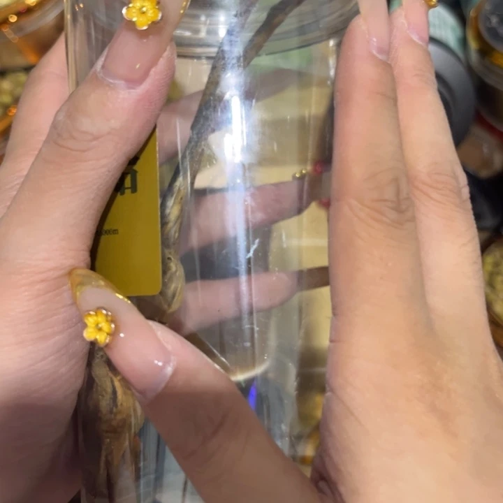 绿泥____________________________