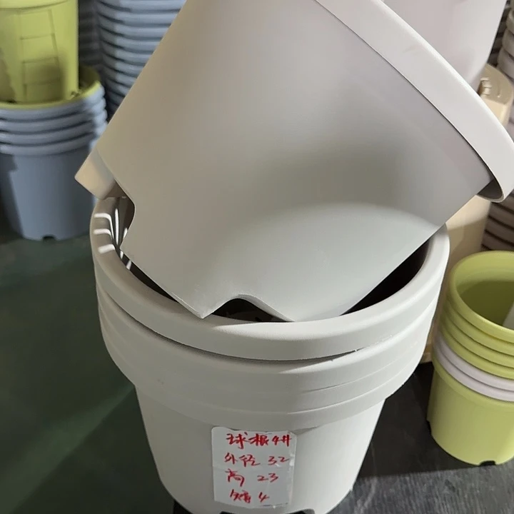 球根32灰白5个无托