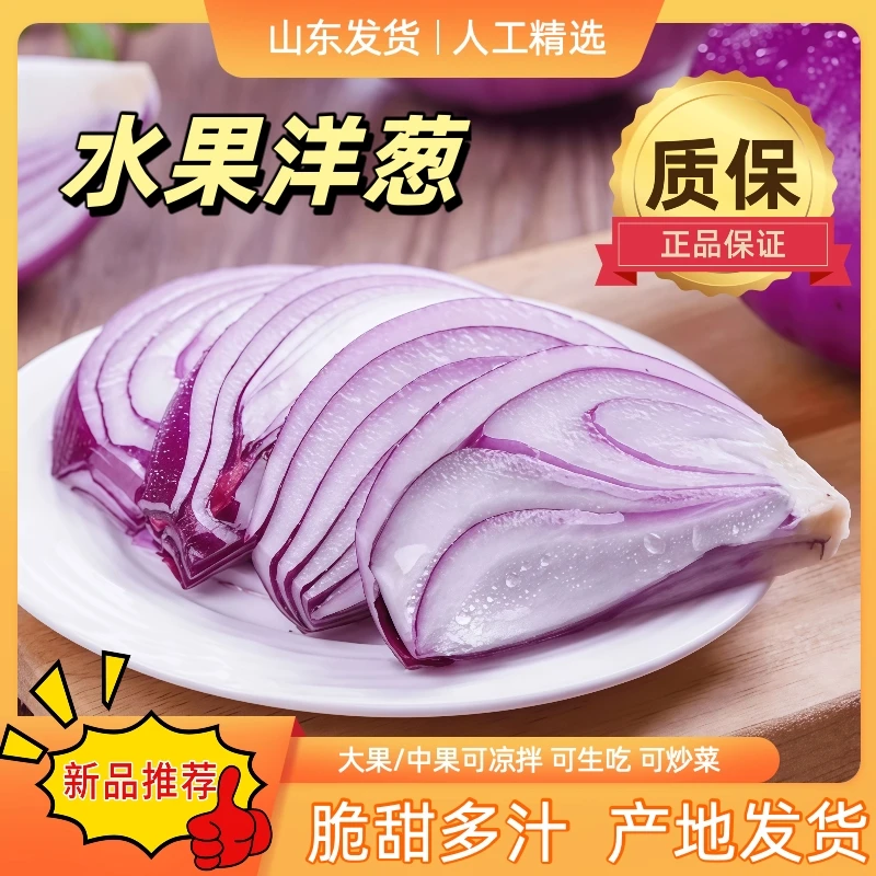 【可生吃微辣微甜】山东紫皮水果洋葱新鲜圆葱头农家自种当季生鲜