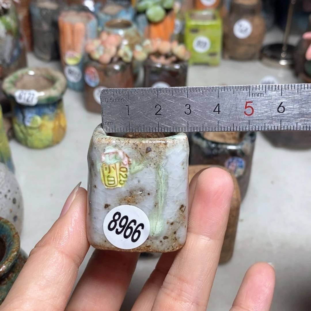 j**h拍3送一个小礼物