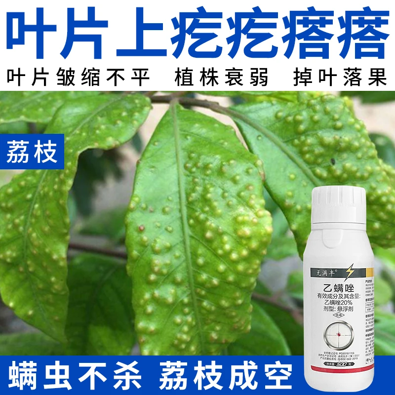 【荔枝瘿螨毛毡病速治】枸杞柑橘树红蜘蛛叶螨瘿螨果树专用杀螨剂