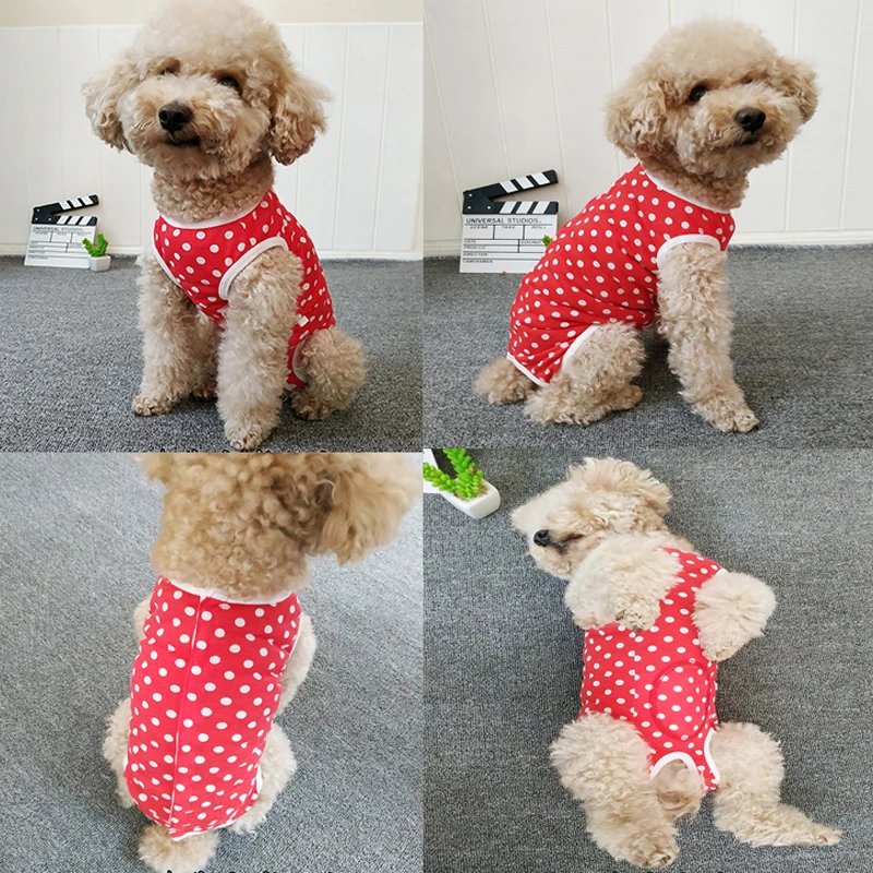 狗狗衣服母狗包肚护肚子全包裹绝育护理断奶服背心公狗防乱尿红色