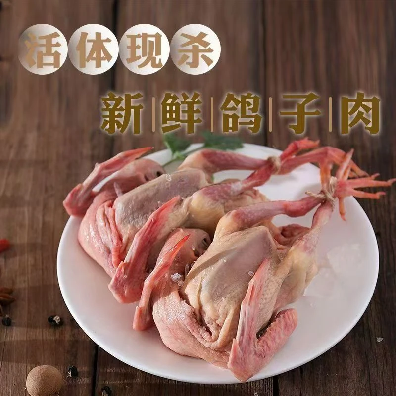 农家散养土鸽子新鲜现杀带内脏急冻锁鲜冷链运输
