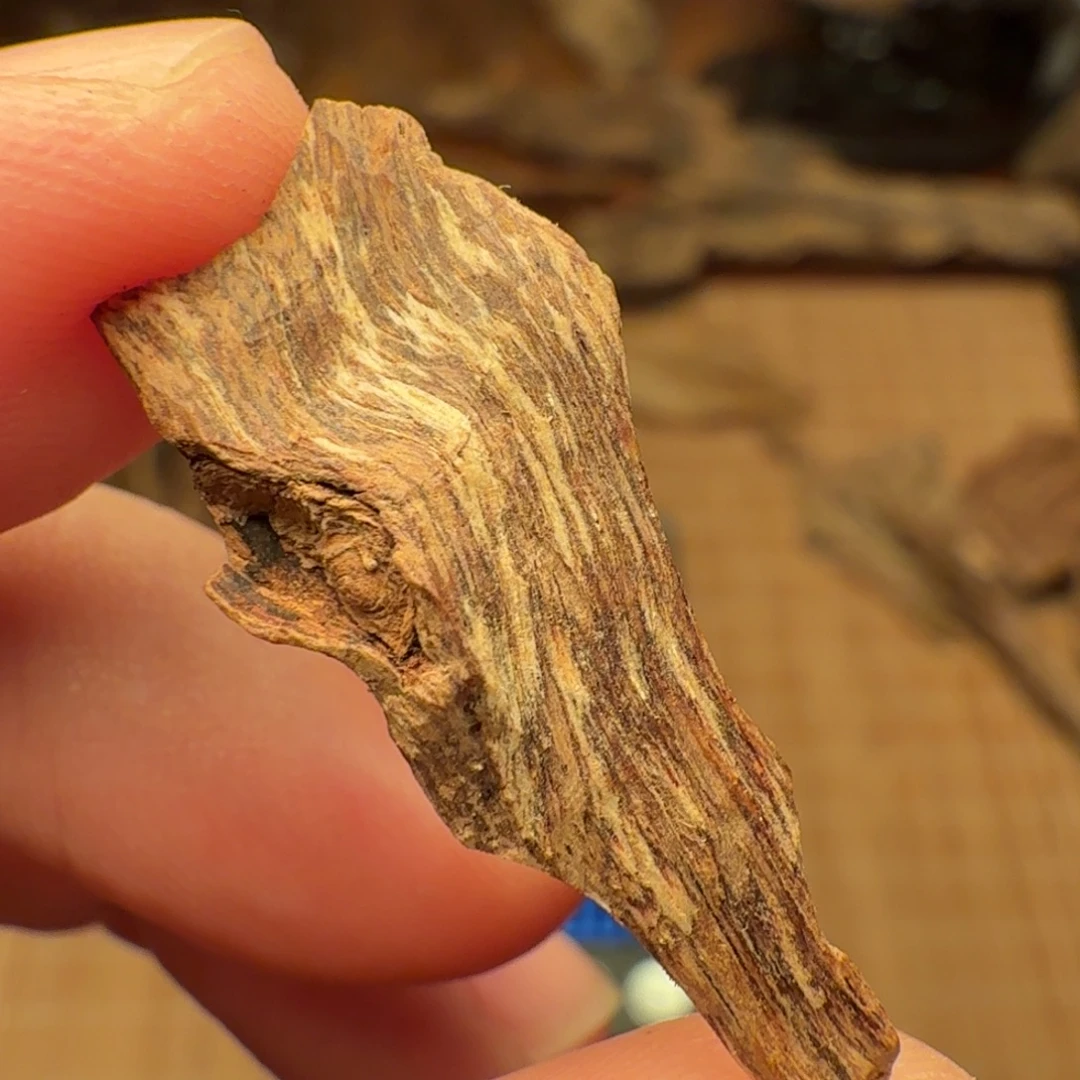 沉香印度熟结老料0.53g