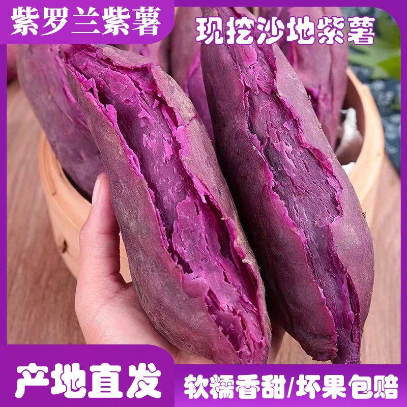 【新品上市】正宗紫罗兰紫薯现挖产地直发软糯香甜无筋无丝番薯代餐
