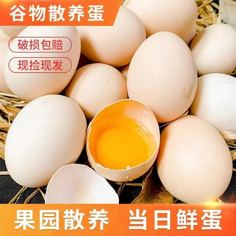 【50枚】农家散养土鸡蛋新鲜营养健康破损包赔谷物喂养土鸡蛋