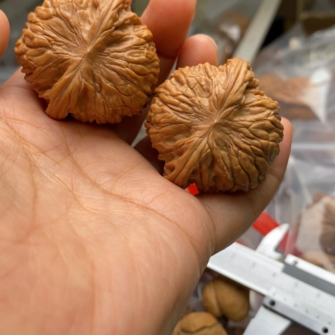 文玩核桃把件山地正磨40尺