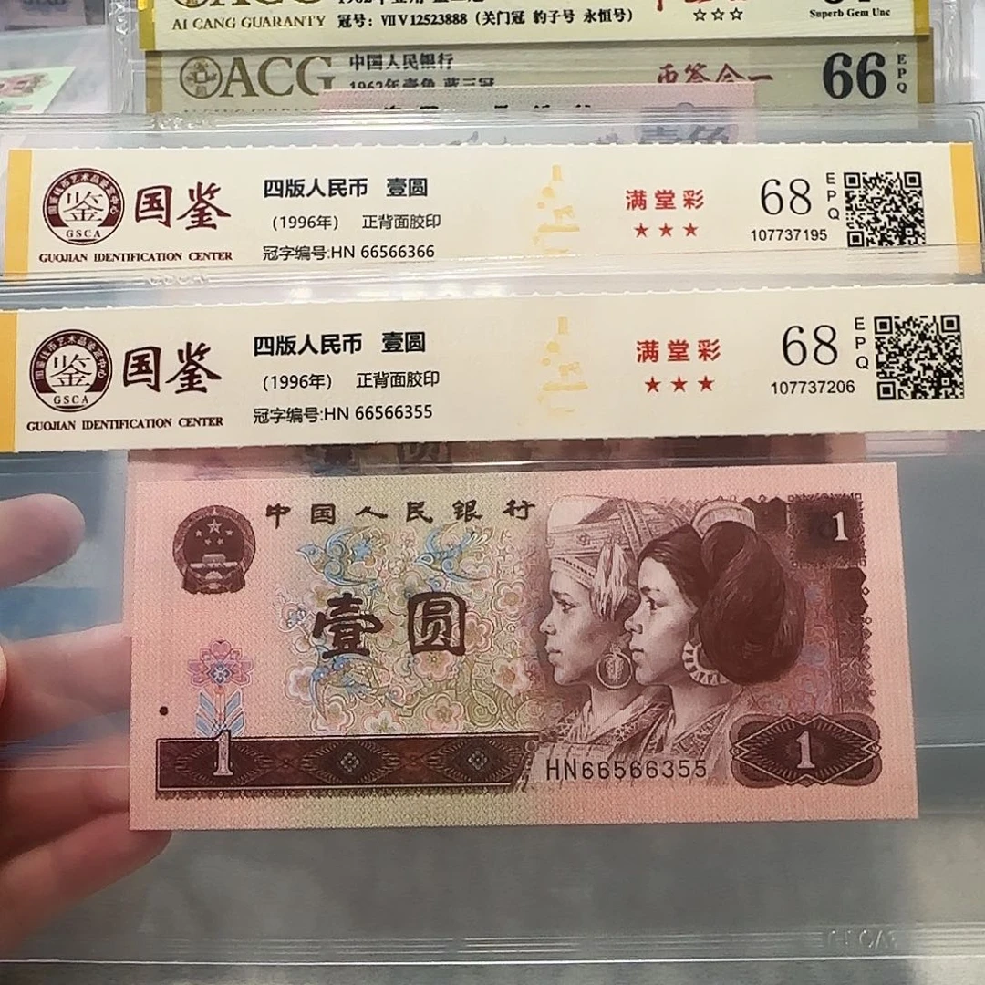 66566366、355。。。。。。