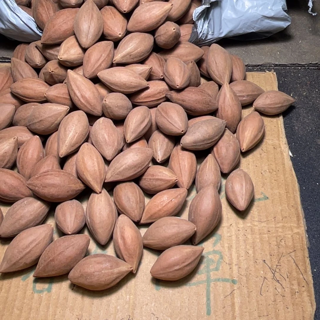 百***钱橄榄核吊坠不退不换