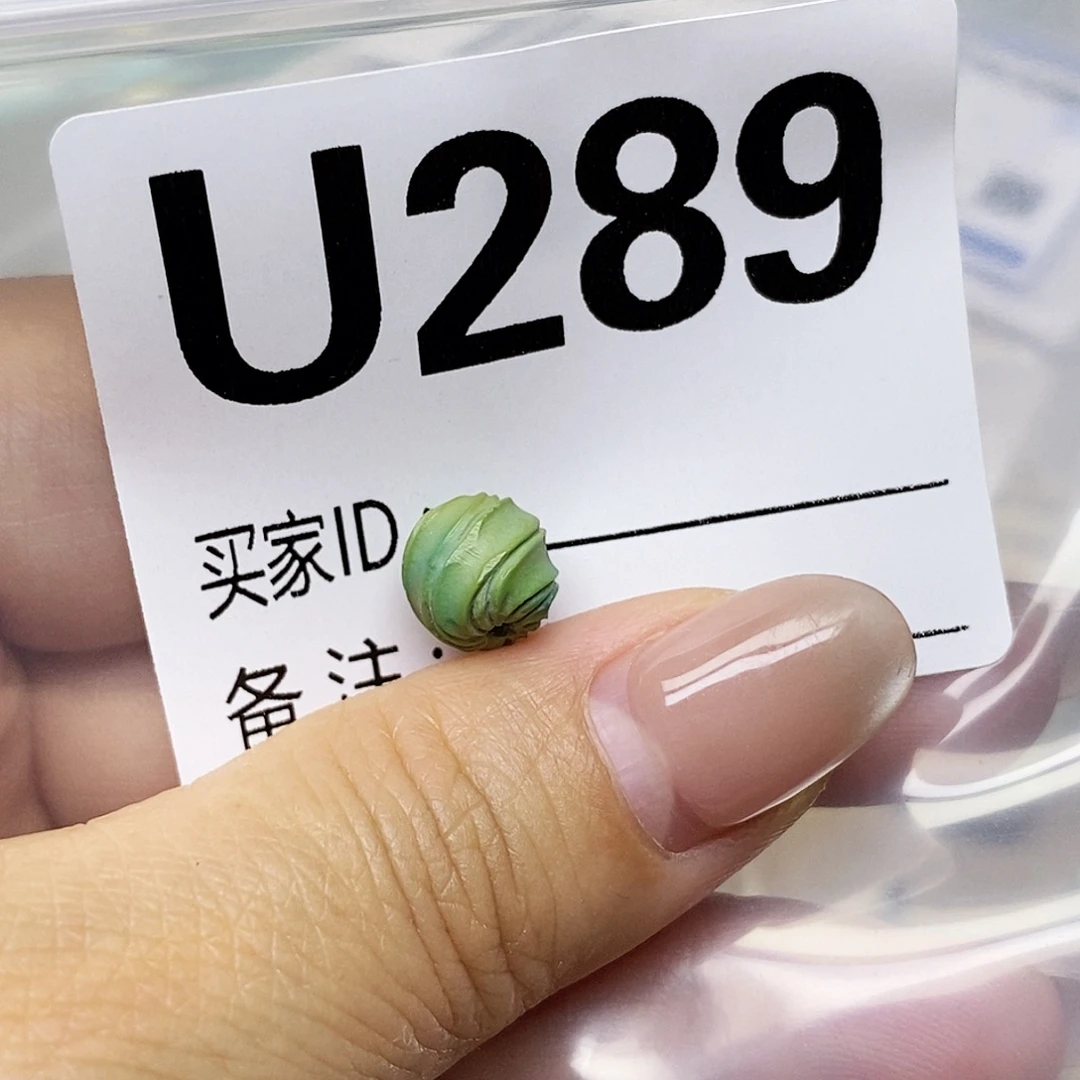 未镶嵌配饰南红玛瑙