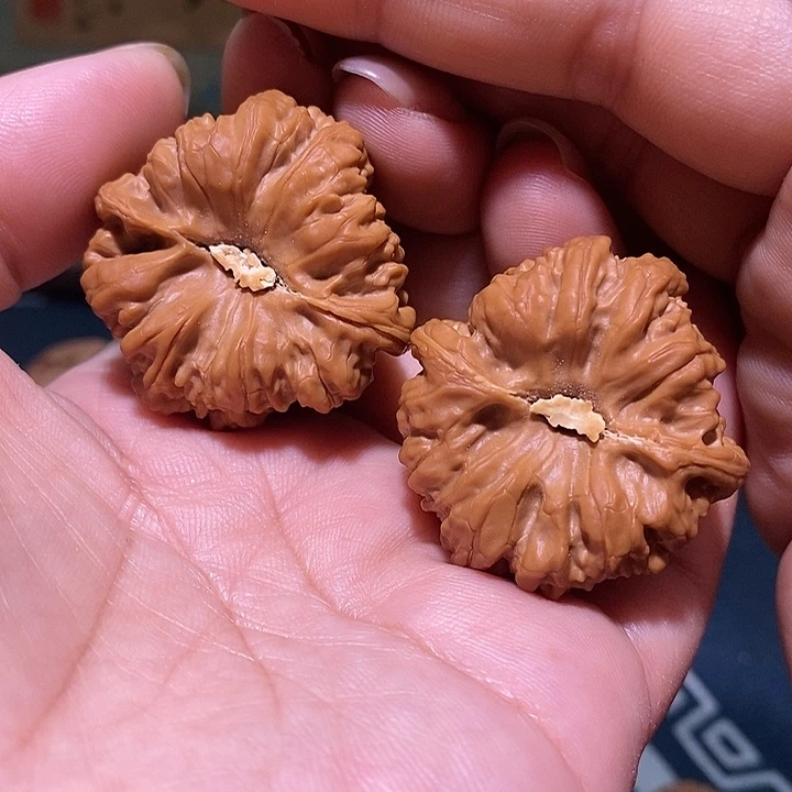 文玩核桃把件酷*36金蟾凹底