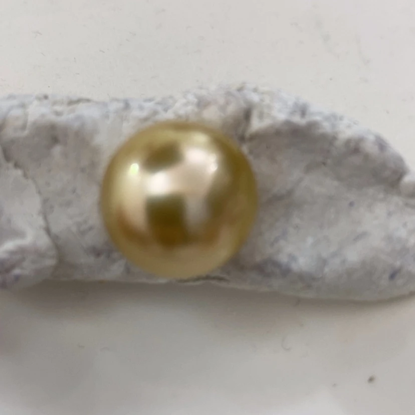 【闪购商品】海水珍珠裸珠狸*猫