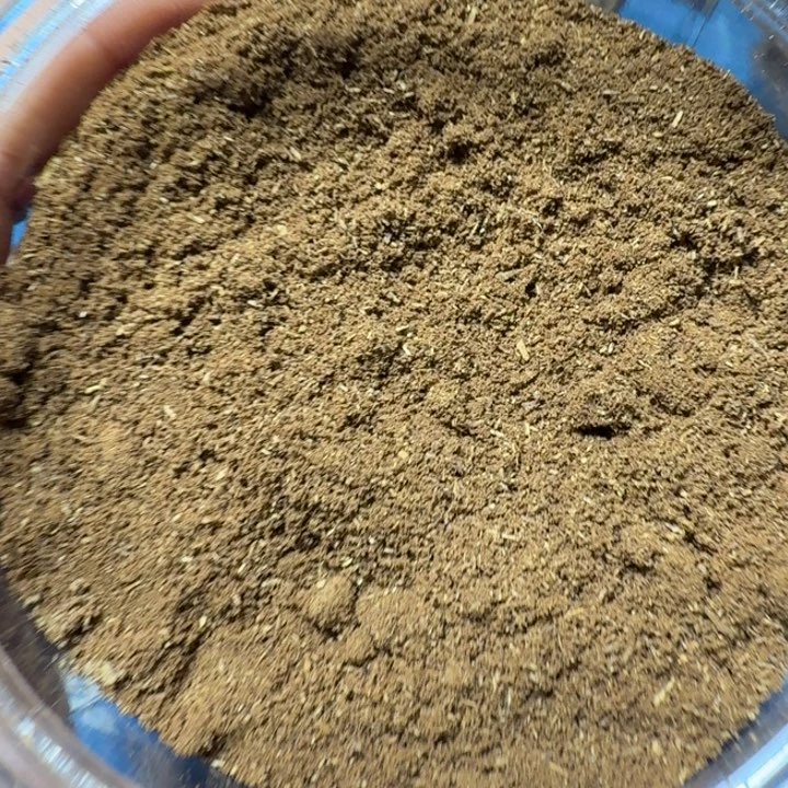 白奇乌身圆叶粉末100克