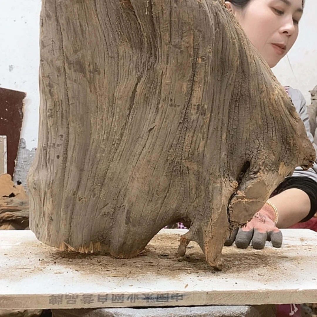 【闪购商品】柏木锦*阁我们都是好孩子