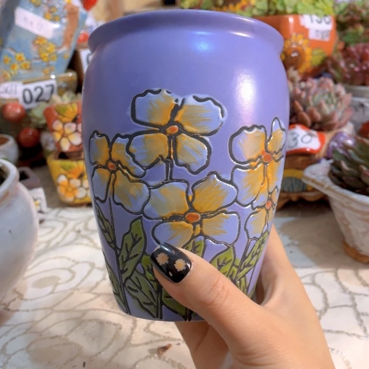 多肉花盆满15包邮