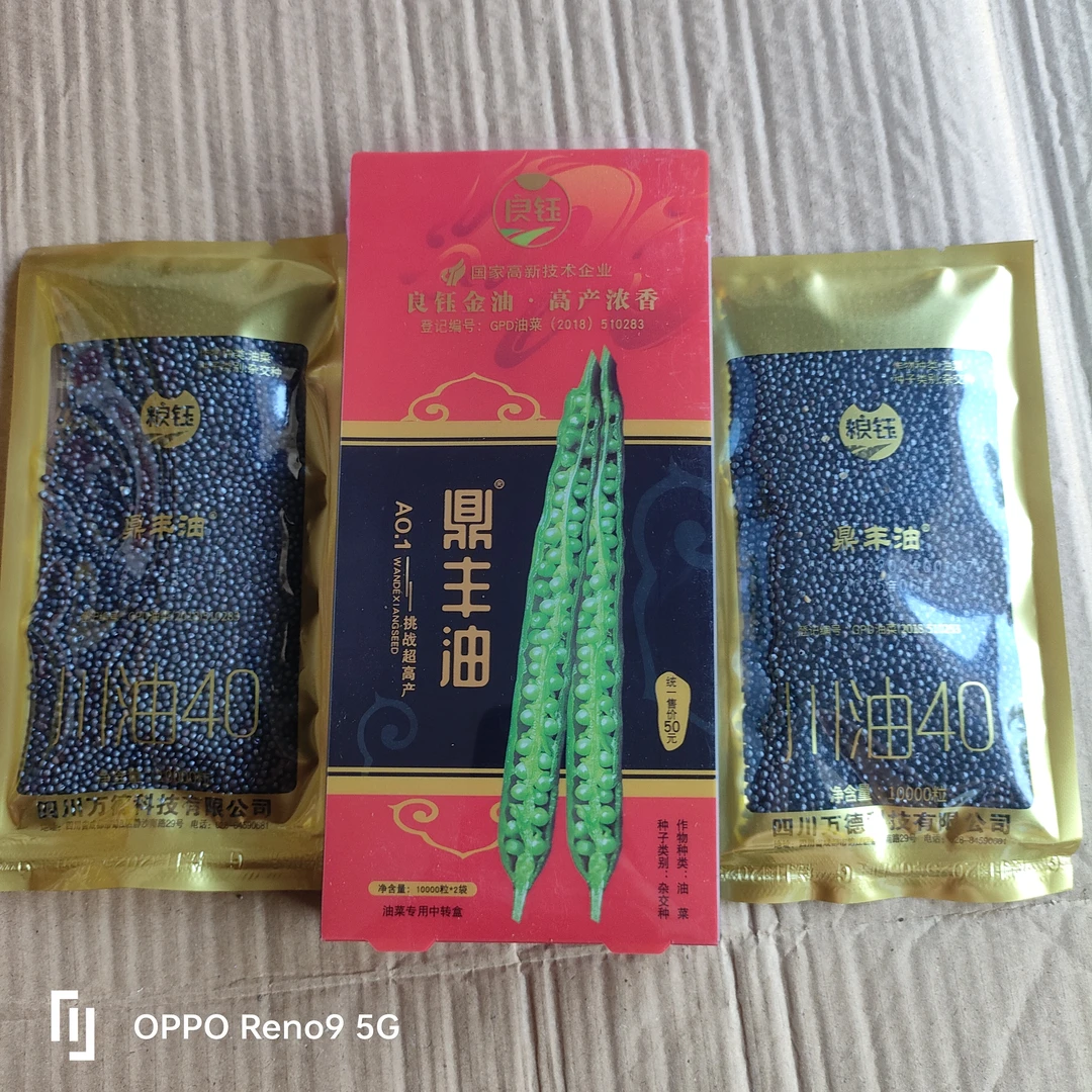 鼎丰油高产‘600一800矮䄭实心杆油菜种抗冻抗倒一盒送一袋硼肥