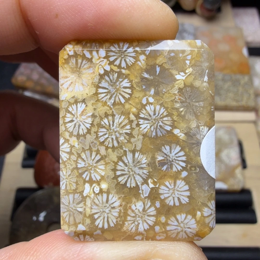 硅化玉未镶嵌纯天然色有机玉石保真色