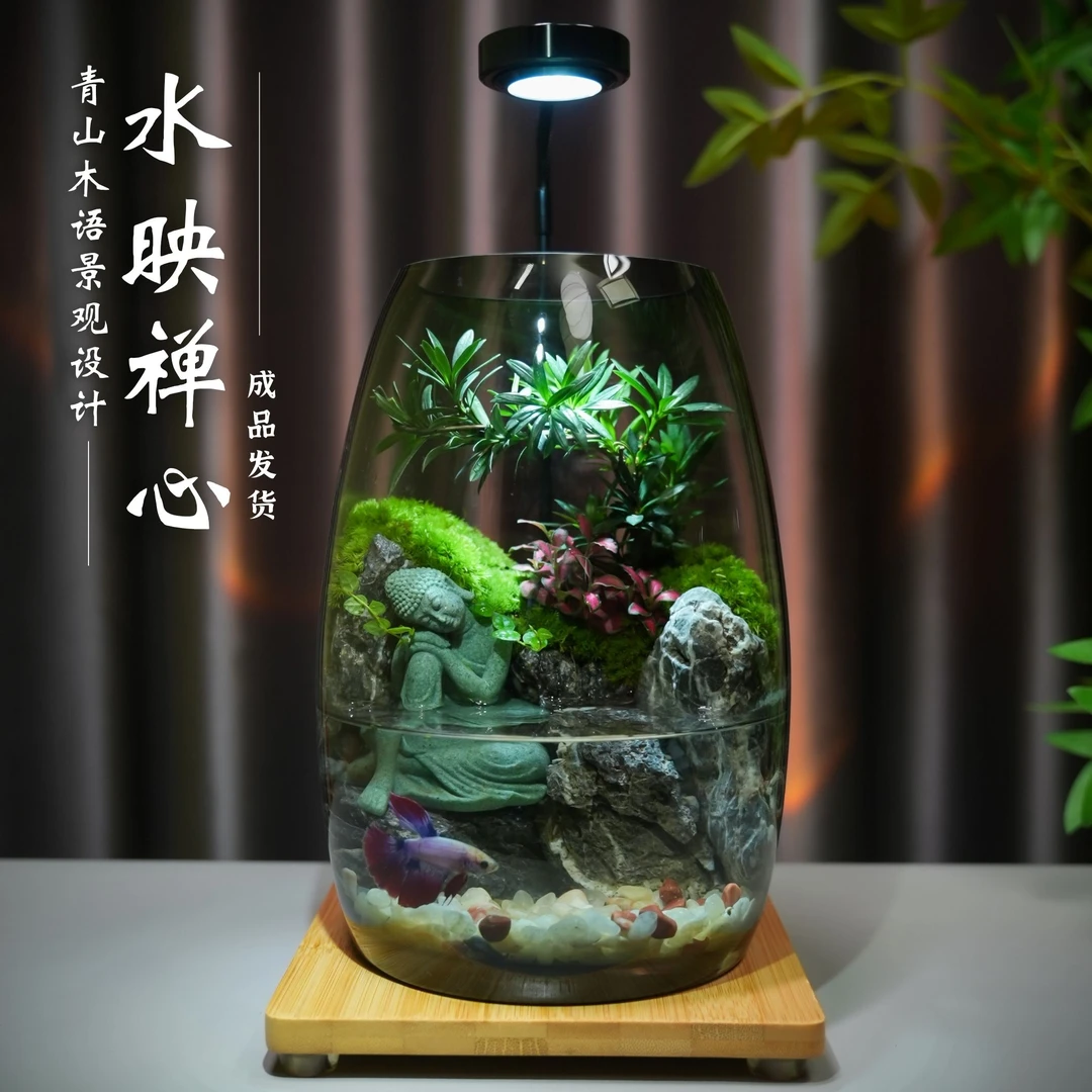 青山木语【水映禅心】创意苔藓微景观水陆桌面办公绿植造景摆件礼品