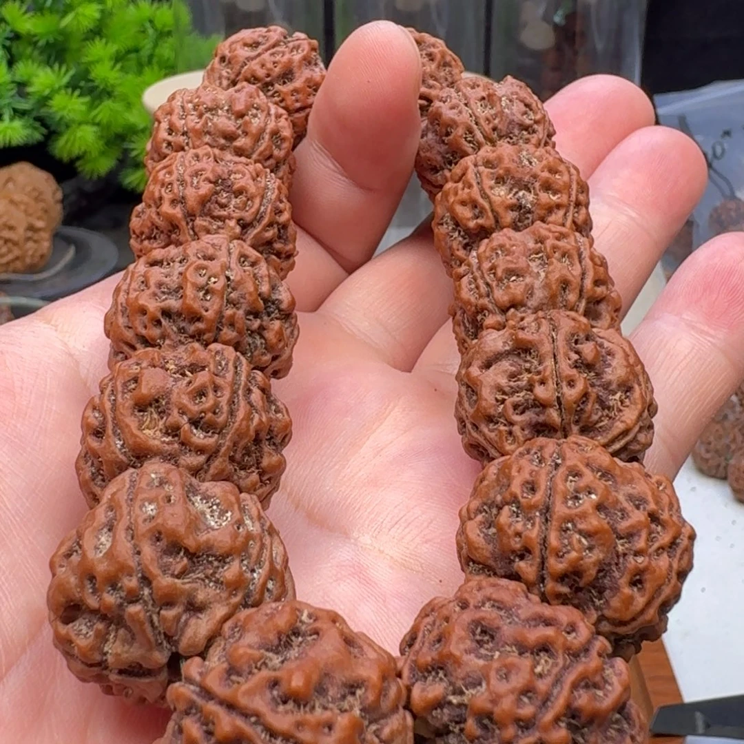 手串金刚菩提大粗筋双龙