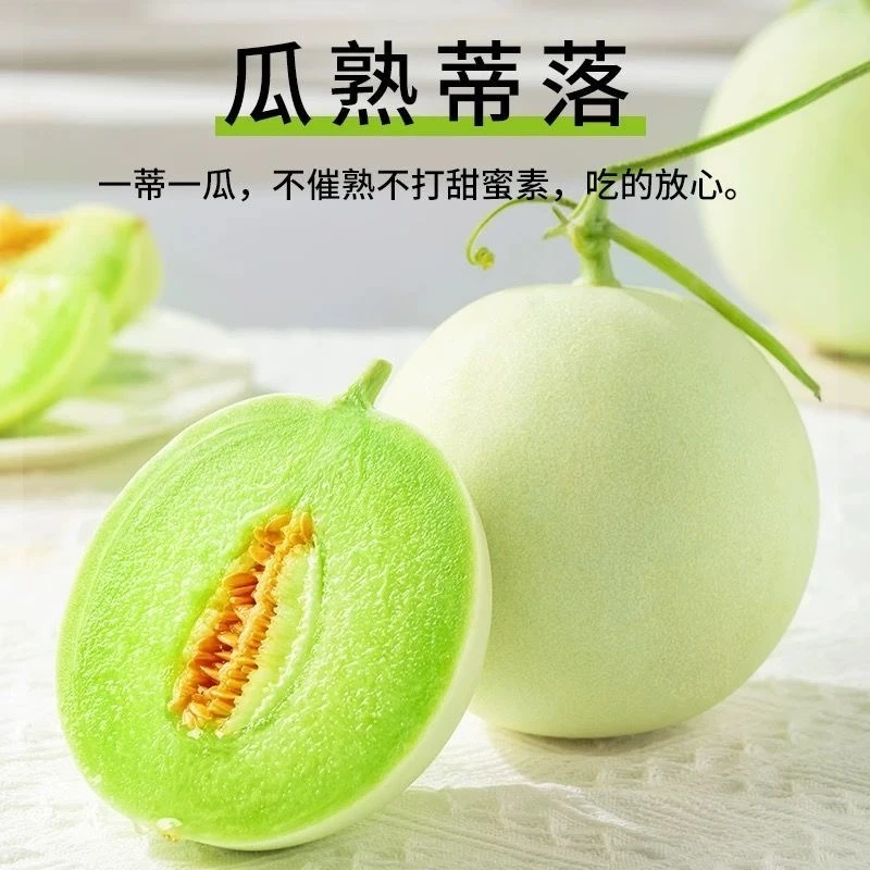 玉菇甜瓜正宗山东冰淇淋甜瓜头茬香瓜非哈密瓜整箱应季新鲜水果