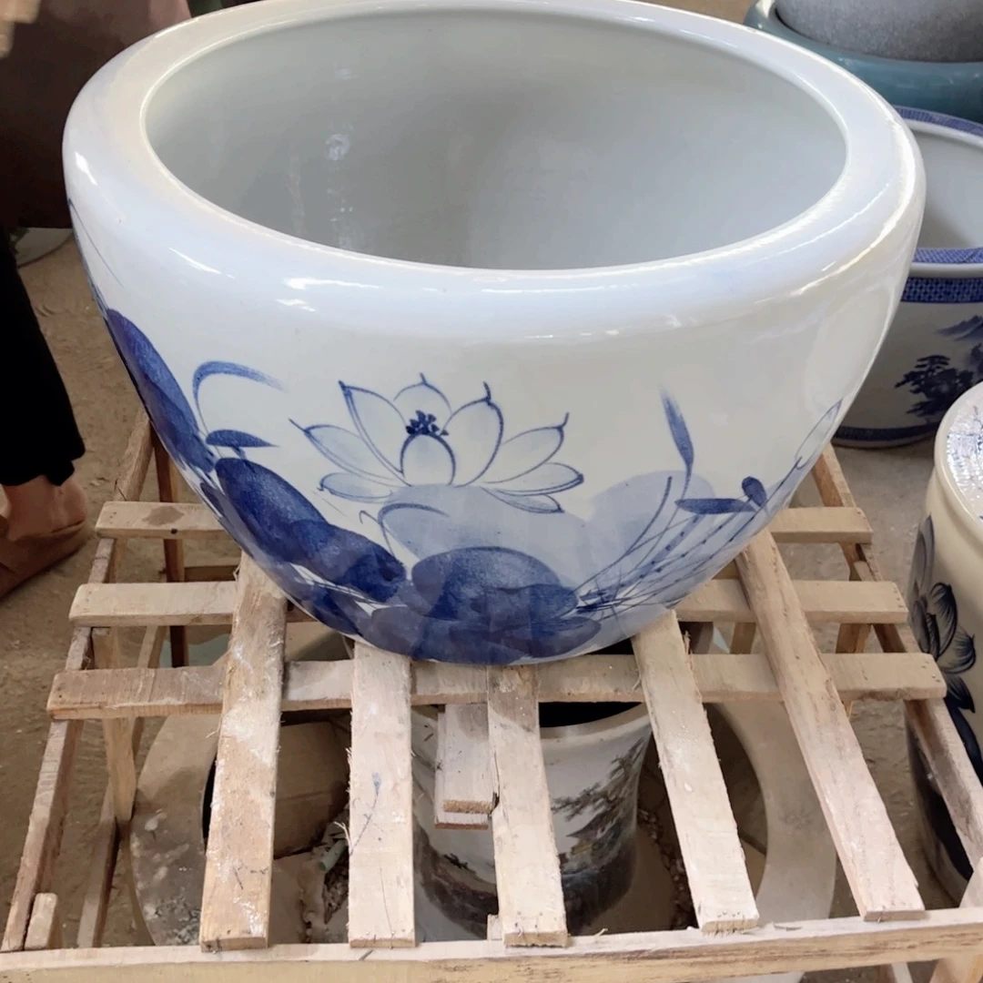 瓷片兰荷花50.88888888888888888