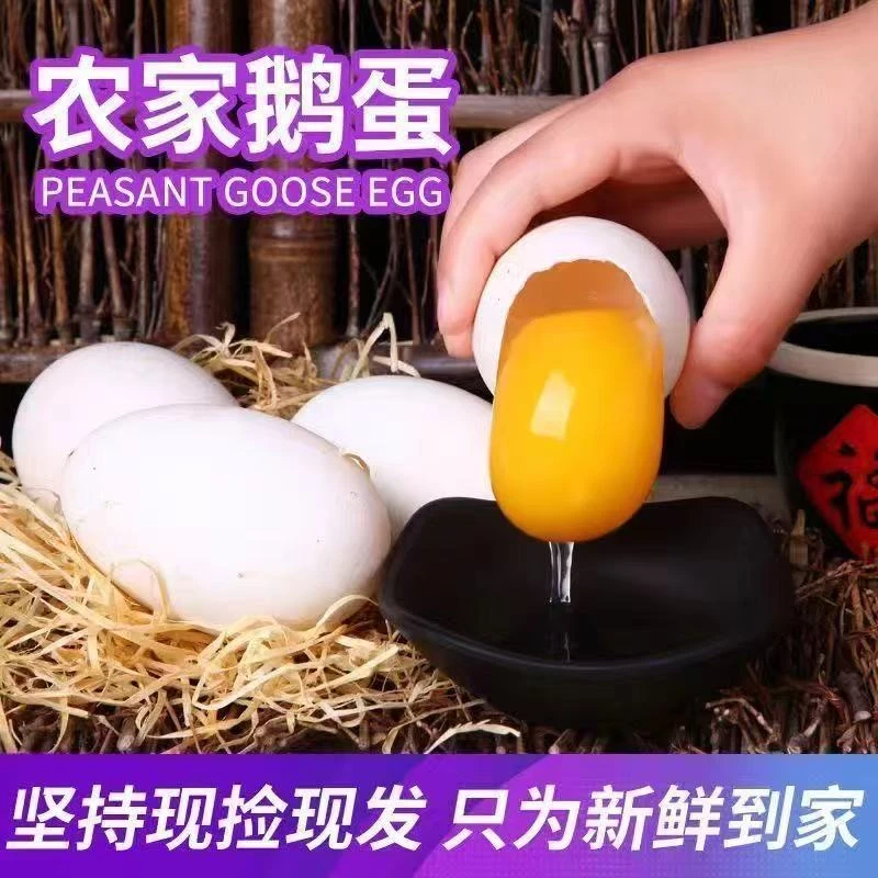 【到手二十枚】现捡现发农家散养新鲜土鹅蛋适合孕妇宝宝食用