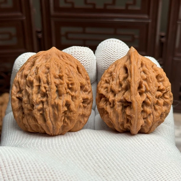 精选一代老树麦穗虎头，边41肚39高43，原生态山地果，一物一图全品