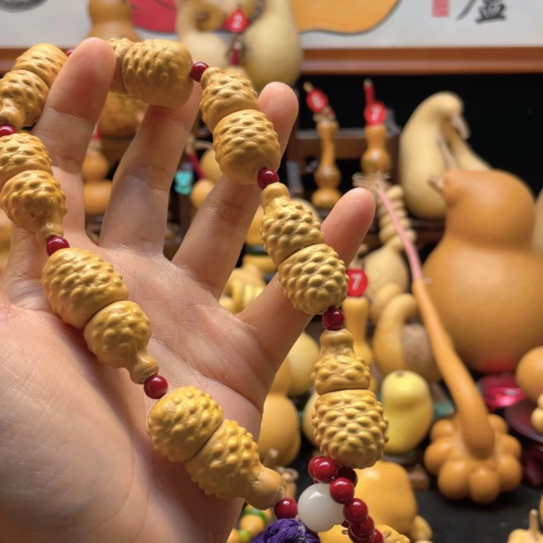 Z****g大自然的秘密第十一节的