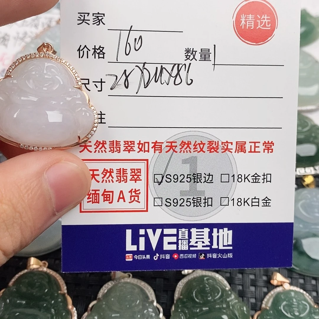 翡翠银S925镶嵌颈饰