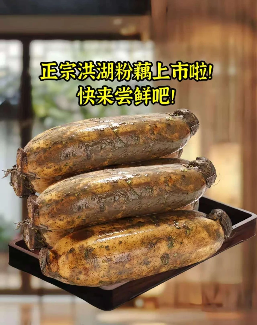 （顺风京东发货）洪湖新鲜现挖煲汤“粉藕”粉糯香甜（精选优质藕段）