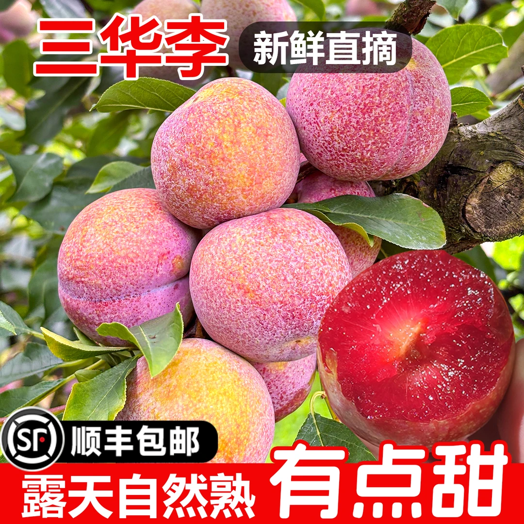 潮汕大妈正宗钱排三华李新鲜水果红心李子孕妇甜酸脆当季包邮A613
