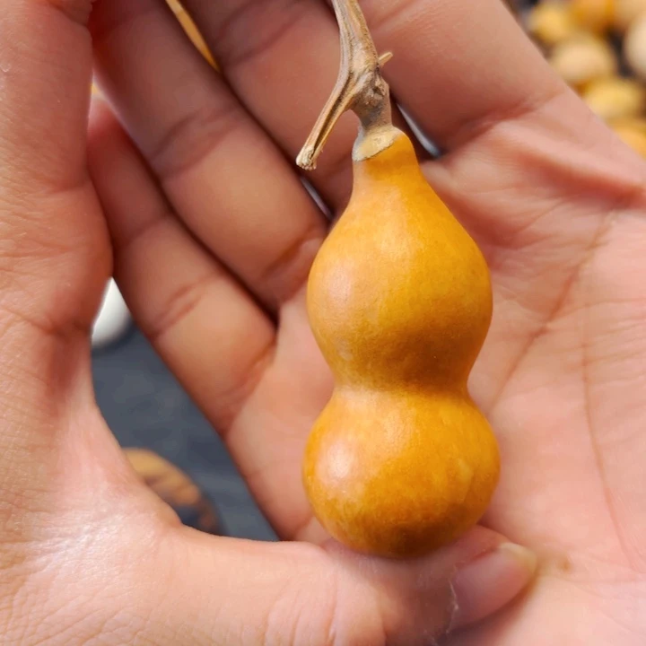 久**逢8888888888888888