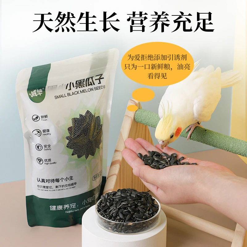 鹦鹉小黑瓜子高品质筛选瓜子鹦鹉零食