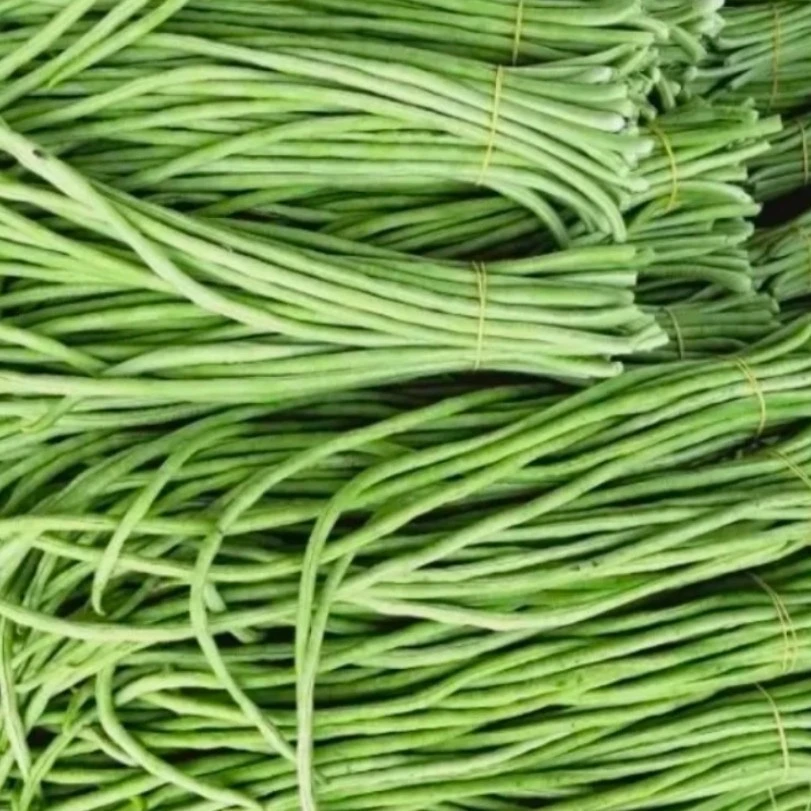 山东现摘细长豆角新鲜蔬菜嫩豇豆现摘农家新鲜蔬菜3斤5斤辣椒