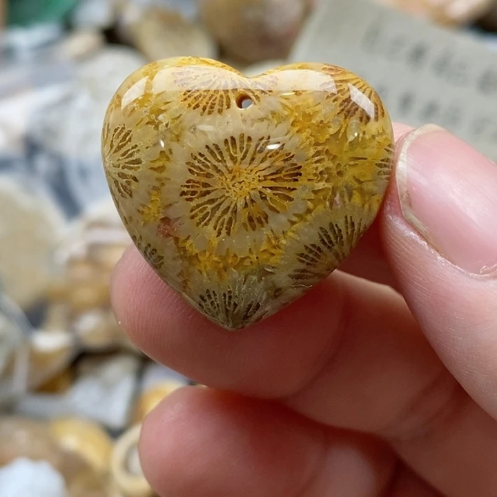 硅化珊瑚（珊瑚玉）未镶嵌颈饰