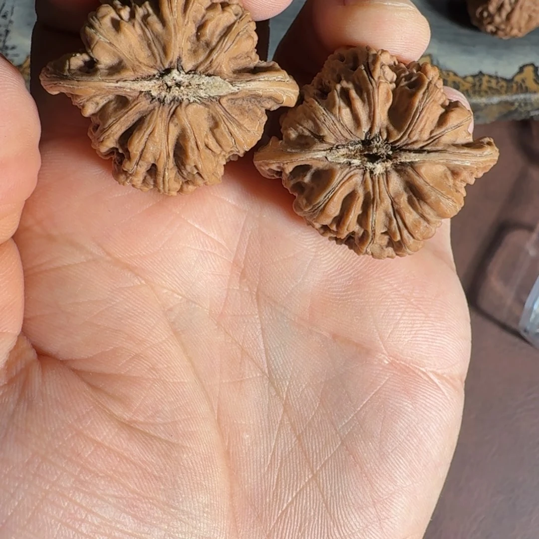 文玩核桃吊坠密纹37