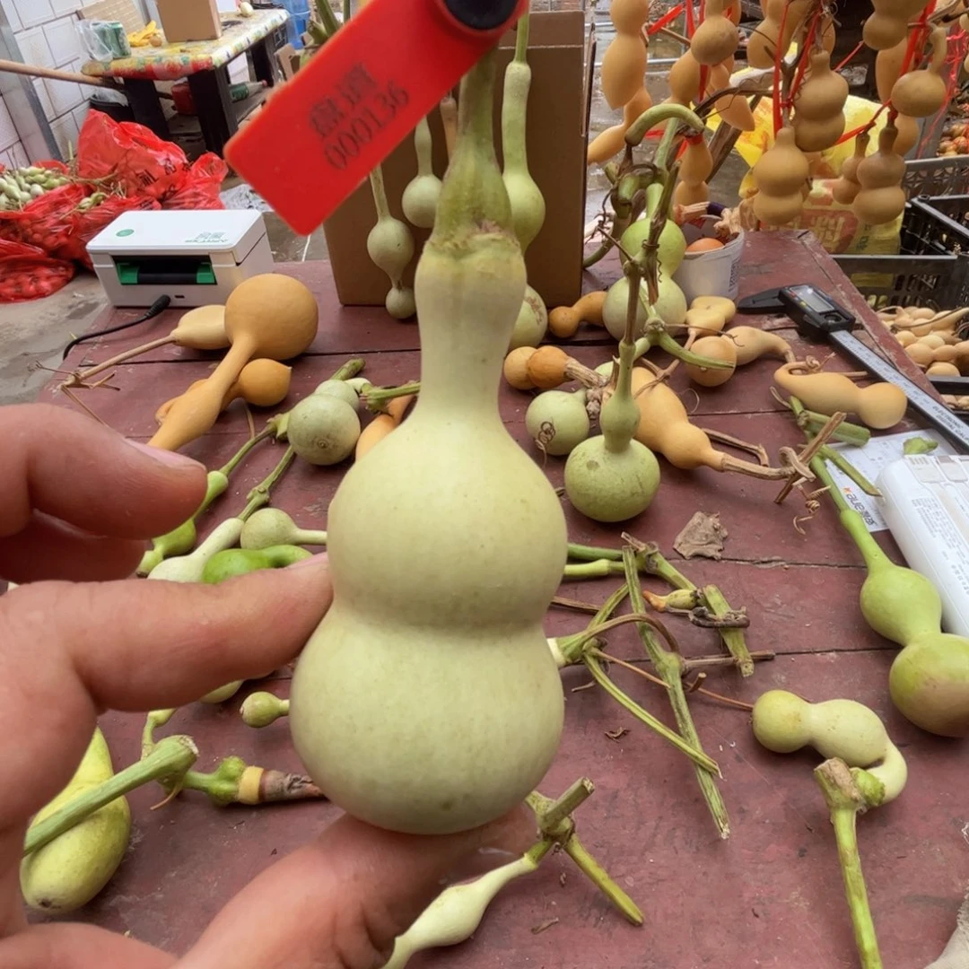 朵***啦文玩葫芦吊坠项链