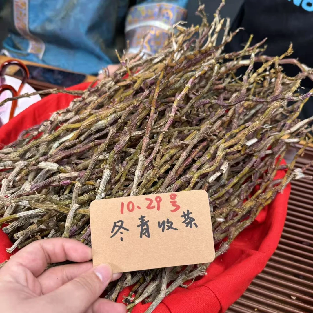 哀牢山紫芽铁皮石斛条 满杯胶质 糯香甜 冬青收茶