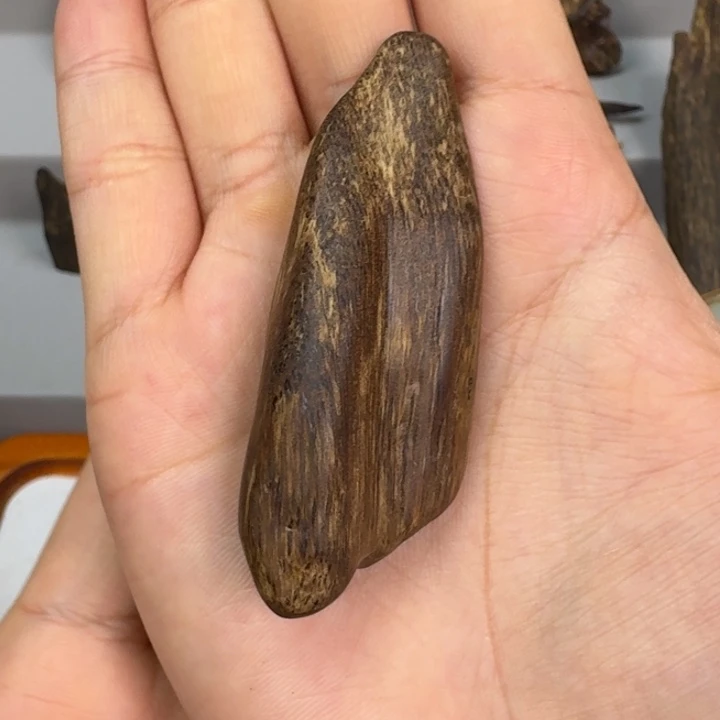 伟业香堂越南沉水素牌10克