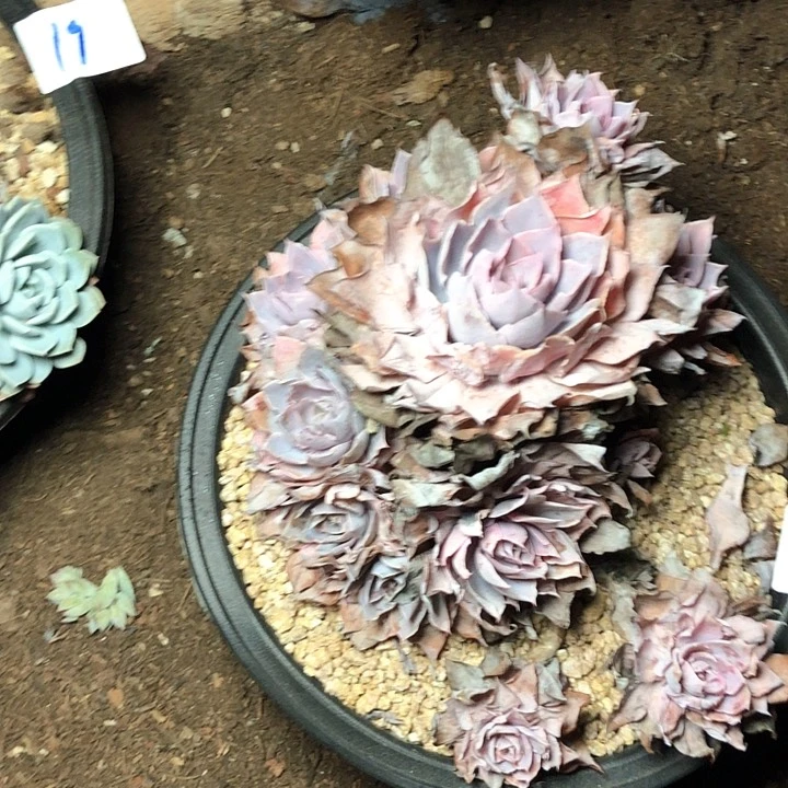 滚*22////////////////