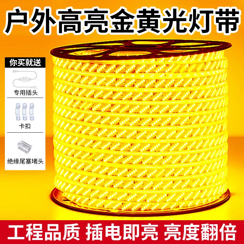 220V超亮LED灯带户外防水别墅自建房外墙专用金黄光室外工程亮化