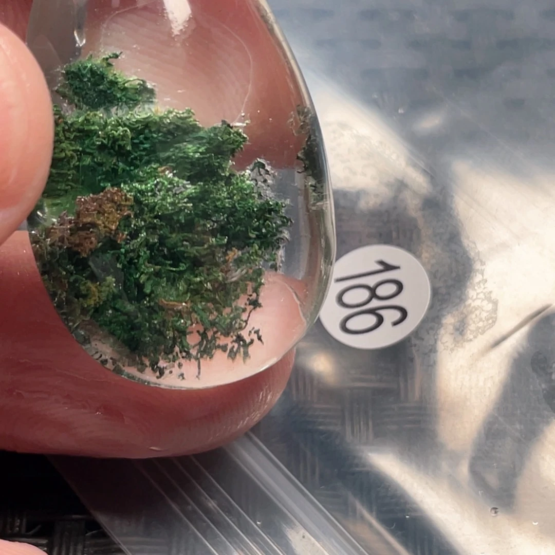 【闪购商品】颈饰未镶嵌水晶1****7
